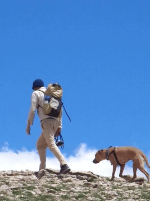 a hiker and dog cresting a rocky hill together