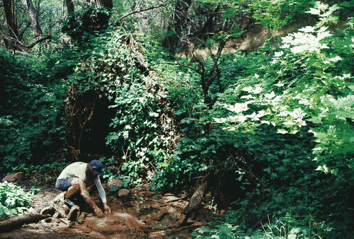 picture of my friend Tmo bending down to touch spring water in a lush canyon grove